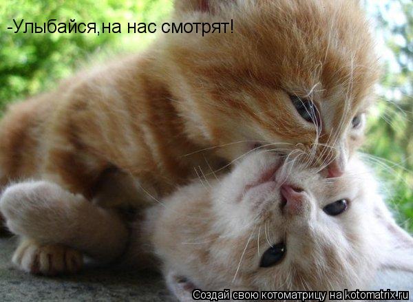 -Улыбайся,на нас смотрят!... Котоматрица: -Улыбайся,на нас смотрят!