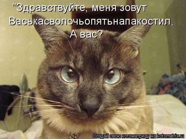 "Здравствуйте, меня зовут Васькасволочьопятьнапакостил А вас? .... Котоматрица: "Здравствуйте, меня зовут Васькасволочьопятьнапакостил А вас? .