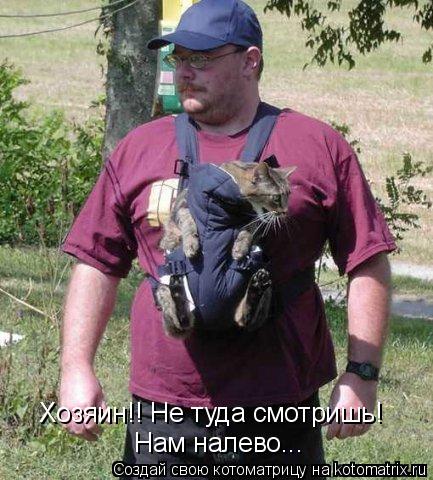 Хозяин!! Не туда смотришь! Нам налево...... Котоматрица: Хозяин!! Не туда смотришь! Нам налево...