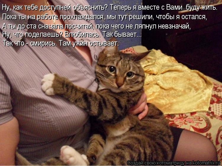 Пока ты на работе прохлаждался, мы тут решили, чтобы я остался, Ну, как тебе доступней объяснить? Теп... Котоматрица: Пока ты на работе прохлаждался, мы тут решили, чтобы я остался, Ну, как тебе доступней объяснить? Теперь я вместе с Вами буду жить. А ты до ста