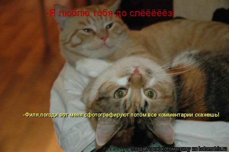 -Я люблю тебя до слёёёёёз! -Филя,погоди вот меня сфотографируют потом все комментарии скажешь!... Котоматрица: -Я люблю тебя до слёёёёёз! -Филя,погоди вот меня сфотографируют потом все комментарии скажешь!