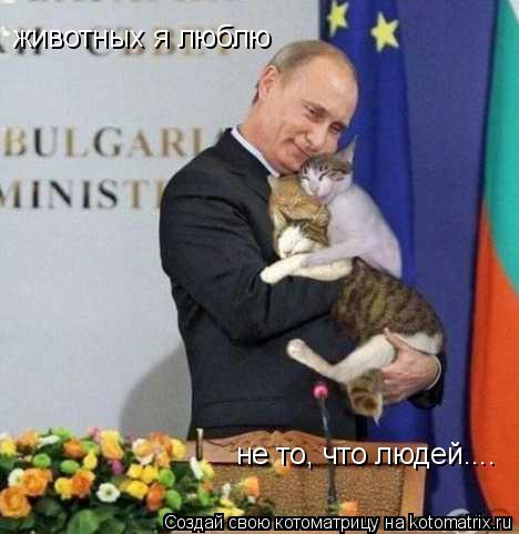 животных я люблю не то, что людей....... Котоматрица: животных я люблю не то, что людей....