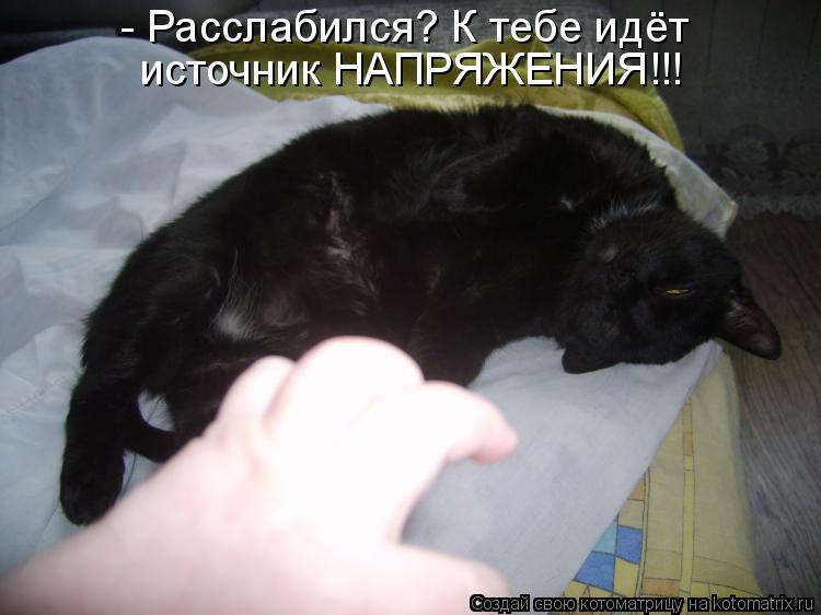 - Расслабился? К тебе идёт источник НАПРЯЖЕНИЯ!!!... Котоматрица: - Расслабился? К тебе идёт источник НАПРЯЖЕНИЯ!!!