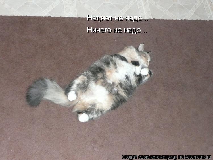 Нет,нет не надо... Ничего не надо...... Котоматрица: Нет,нет не надо... Ничего не надо...