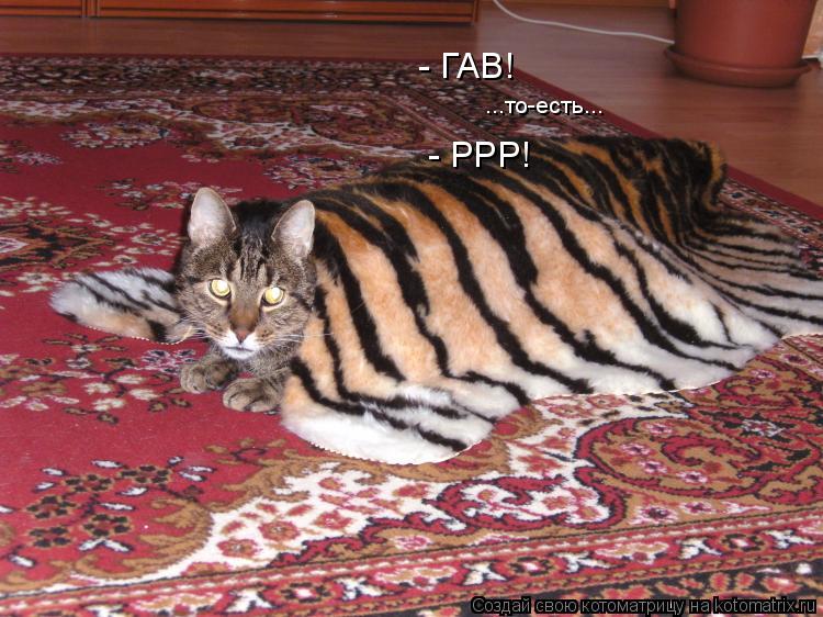 - ГАВ! ...то-есть... - РРР!... Котоматрица: - ГАВ! ...то-есть... - РРР!