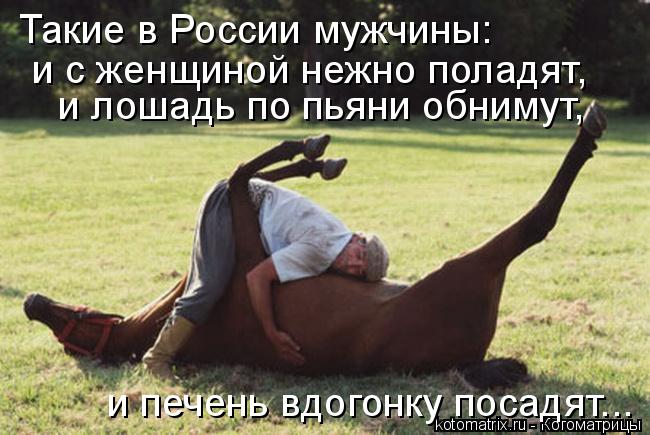 Такие в России мужчины: и лошадь по пьяни обнимут, и печень вдогонку посадят... и с женщиной нежно ... Котоматрица: Такие в России мужчины: и лошадь по пьяни обнимут, и печень вдогонку посадят... и с женщиной нежно поладят,