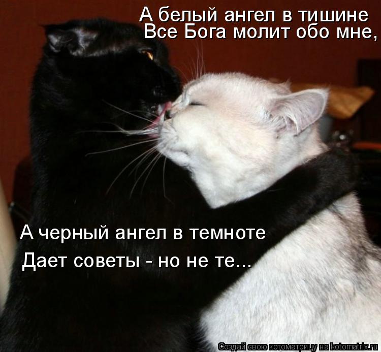 А черный ангел в темноте Дает советы - но не те... А белый ангел в тишине Все Бога молит обо мне,... Котоматрица: А черный ангел в темноте Дает советы - но не те... А белый ангел в тишине Все Бога молит обо мне,