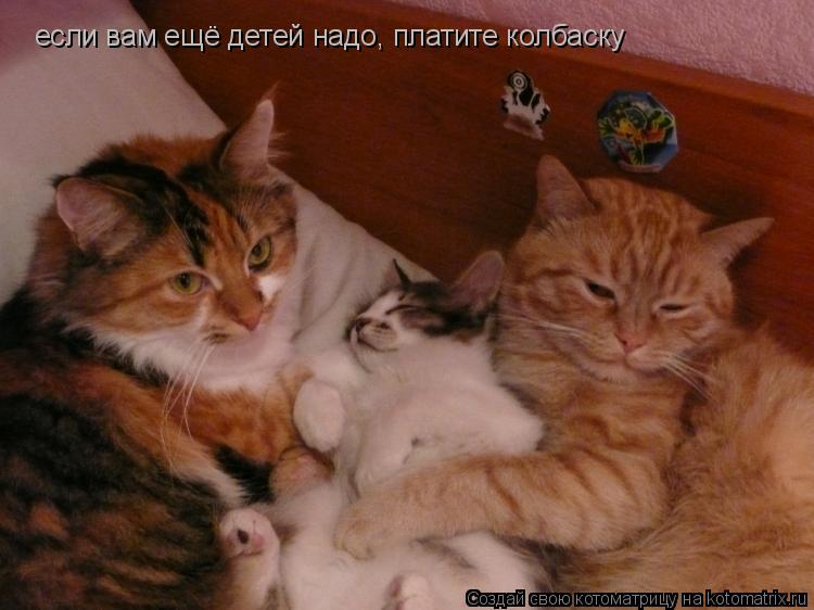 Котоматрица: если вам ещё детей надо, платите колбаску