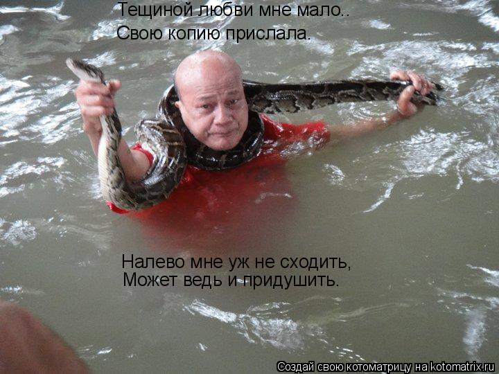 Тещиной любви мне мало.. Налево мне уж не сходить, Может ведь и придушить. Свою копию прислала.... Котоматрица: Тещиной любви мне мало.. Налево мне уж не сходить, Может ведь и придушить. Свою копию прислала.
