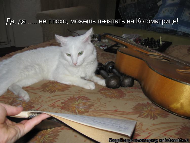 Да, да ..... не плохо, можешь печатать на Котоматрице!... Котоматрица: Да, да ..... не плохо, можешь печатать на Котоматрице!