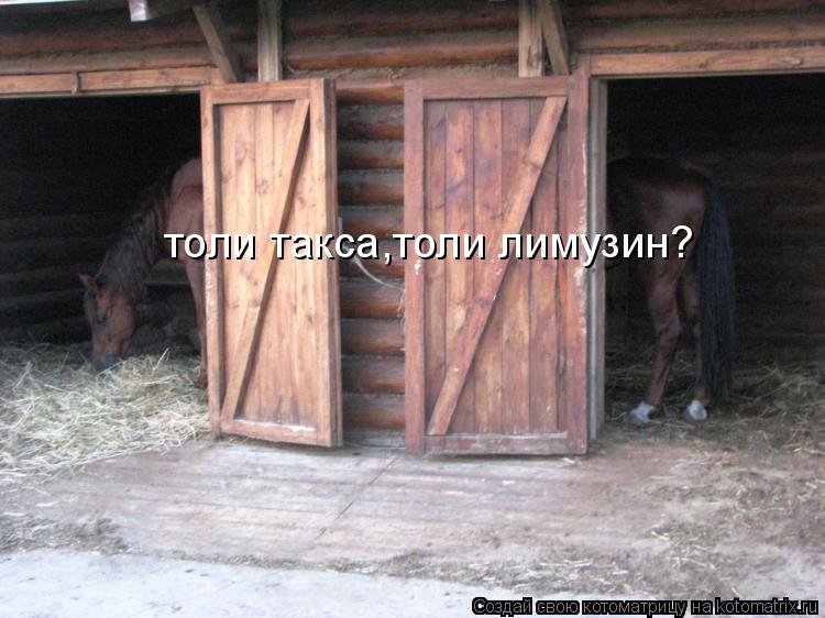 толи такса,толи лимузин?... Котоматрица: толи такса,толи лимузин?