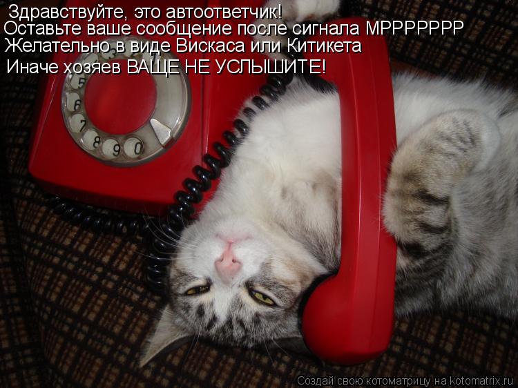 Здравствуйте, это автоответчик! Оставьте ваше сообщение после сигнала МРРРРРРР Желательно в виде Виск... Котоматрица: Здравствуйте, это автоответчик! Оставьте ваше сообщение после сигнала МРРРРРРР Желательно в виде Вискаса или Китикета Иначе хозяев ВАЩЕ Н