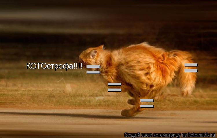 КОТОстрофа!!!! = = = =... Котоматрица: КОТОстрофа!!!! = = = =