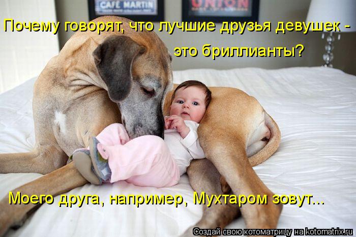 Почему говорят, что лучшие друзья девушек - это бриллианты? Моего друга, например, Мухтаром зовут..... Котоматрица: Почему говорят, что лучшие друзья девушек - это бриллианты? Моего друга, например, Мухтаром зовут...