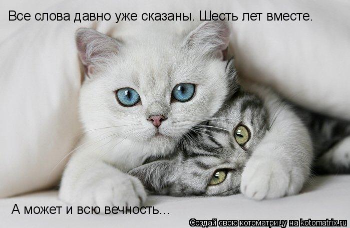 Все слова давно уже сказаны. Шесть лет вместе. А может и всю вечность...... Котоматрица: Все слова давно уже сказаны. Шесть лет вместе. А может и всю вечность...