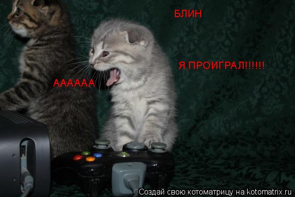 Котоматрица: АААААА БЛИН Я ПРОИГРАЛ!!!!!!