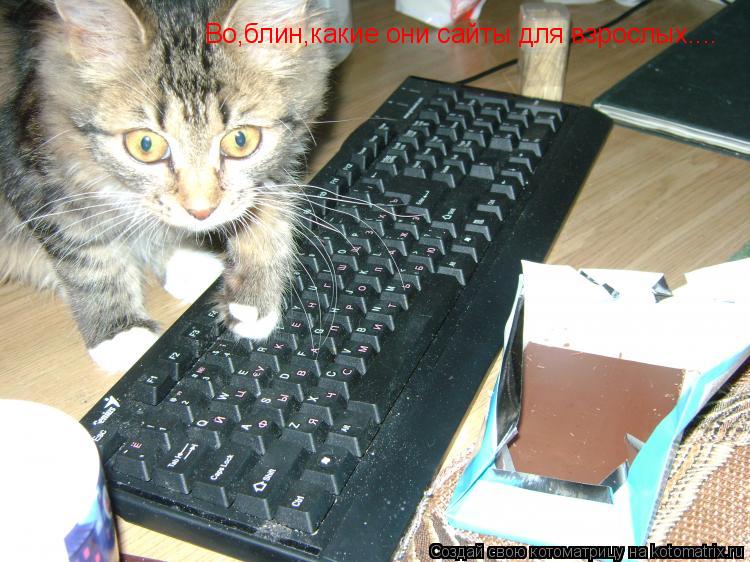 Во,блин,какие они сайты для взрослых....... Котоматрица: Во,блин,какие они сайты для взрослых....