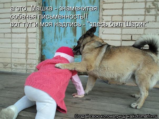 а это, Машка - знаменитая собачья письменность!! вот тут и моя надпись - "здесь был Шарик"... Котоматрица: а это, Машка - знаменитая собачья письменность!! вот тут и моя надпись - "здесь был Шарик"