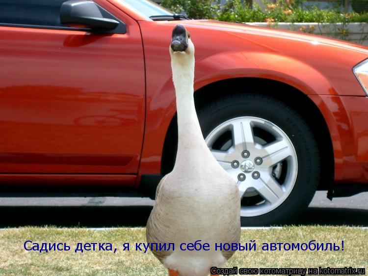 Садись детка, я купил себе новый автомобиль! Садись детка, я купил себе новый автомобиль!... Котоматрица: Садись детка, я купил себе новый автомобиль! Садись детка, я купил себе новый автомобиль!