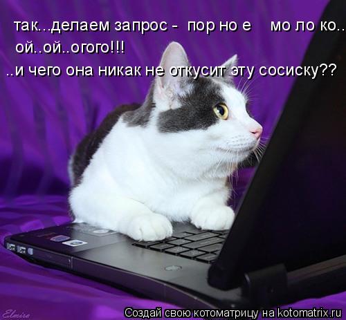 так...делаем запрос - пор но е мо ло ко... ой..ой..огого!!! ..и чего она никак не откусит эту сос... Котоматрица: так...делаем запрос - пор но е мо ло ко... ой..ой..огого!!! ..и чего она никак не откусит эту сосиску??