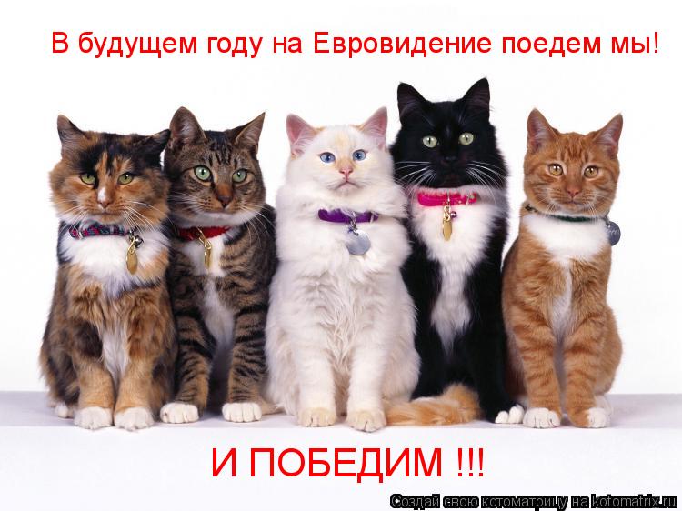 В будущем году на Евровидение поедем мы! И ПОБЕДИМ !!!... Котоматрица: В будущем году на Евровидение поедем мы! И ПОБЕДИМ !!!