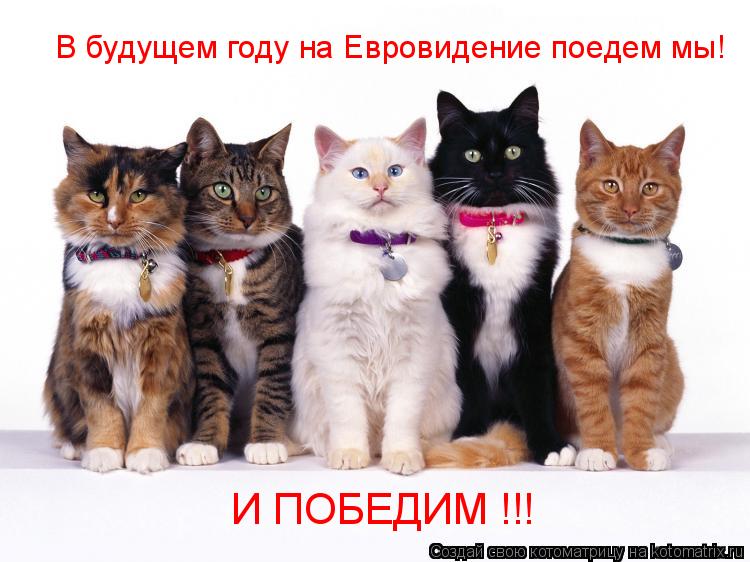 Котоматрица: В будущем году на Евровидение поедем мы! И ПОБЕДИМ !!!