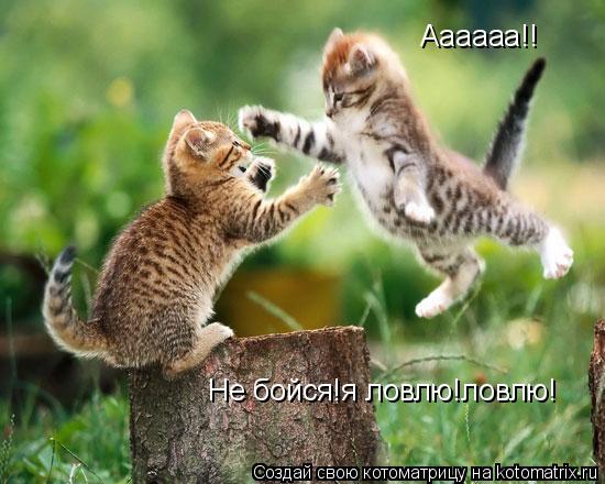 Котоматрица: Аааааа!! Не бойся!я ловлю!ловлю!