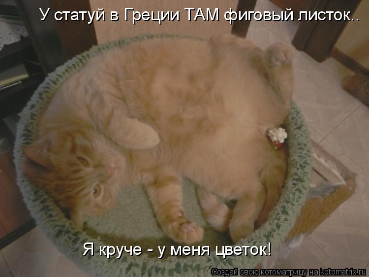 Я круче - у меня цветок! У статуй в Греции ТАМ фиговый листок..... Котоматрица: Я круче - у меня цветок! У статуй в Греции ТАМ фиговый листок..