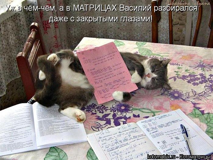 Уж в чём-чём, а в МАТРИЦАХ Василий разбирался даже с закрытыми глазами!... Котоматрица: Уж в чём-чём, а в МАТРИЦАХ Василий разбирался даже с закрытыми глазами!