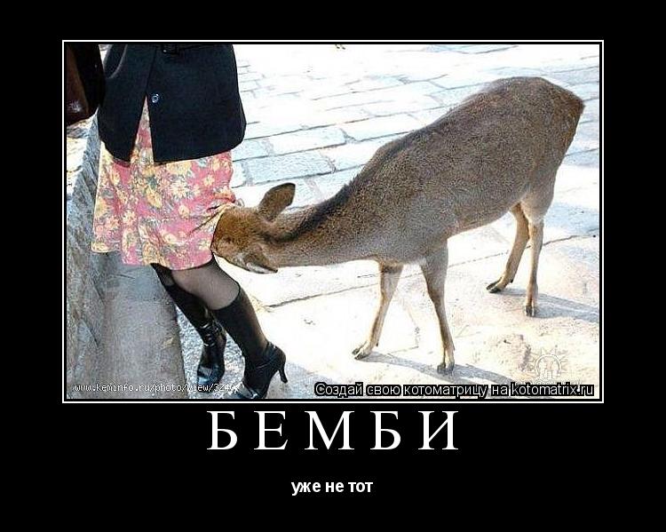бемби уже не тот... Котоматрица: бемби уже не тот