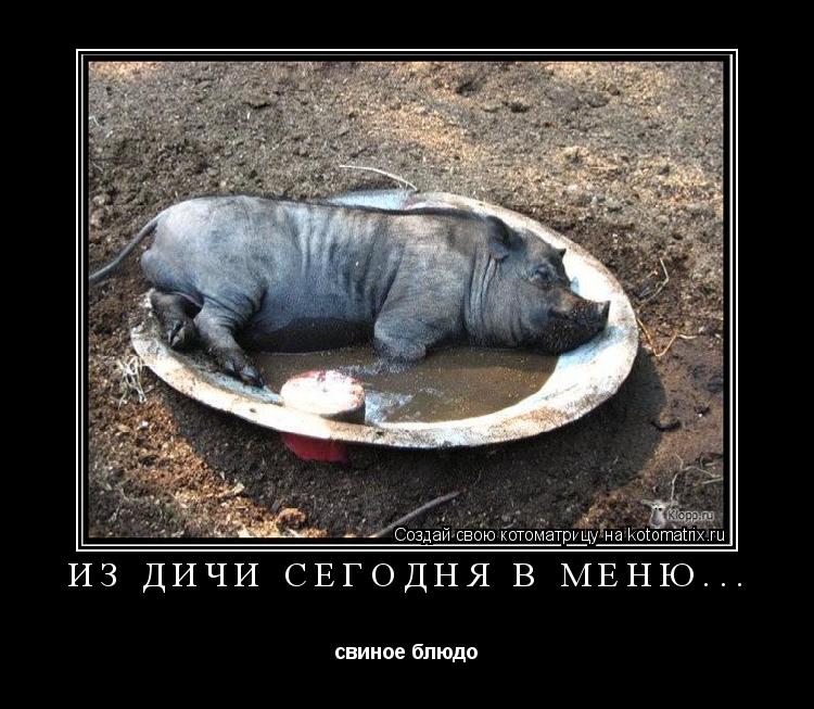 из дичи сегодня в меню... свиное блюдо... Котоматрица: из дичи сегодня в меню... свиное блюдо