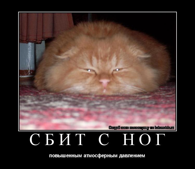 Котоматрица: Сбит с ног повышенным атмосферным давлением
