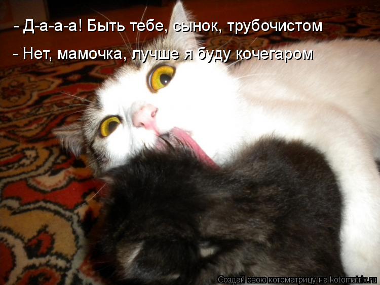 - Д-а-а-а! Быть тебе, сынок, трубочистом - Нет, мамочка, лучше я буду кочегаром... Котоматрица: - Д-а-а-а! Быть тебе, сынок, трубочистом - Нет, мамочка, лучше я буду кочегаром