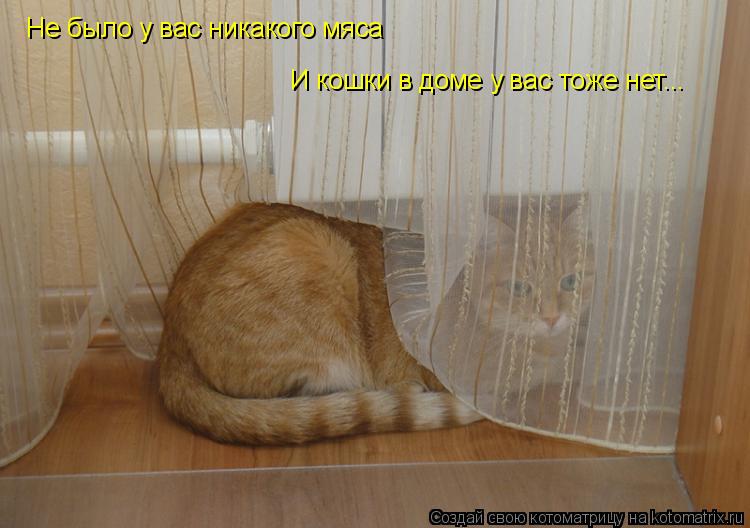 Не было у вас никакого мяса И кошки в доме у вас тоже нет...... Котоматрица: Не было у вас никакого мяса И кошки в доме у вас тоже нет...