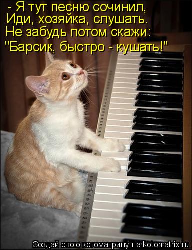 - Я тут песню сочинил, "Барсик, быстро - кушать!" Иди, хозяйка, слушать. Не забудь потом скажи:... Котоматрица: - Я тут песню сочинил, "Барсик, быстро - кушать!" Иди, хозяйка, слушать. Не забудь потом скажи: