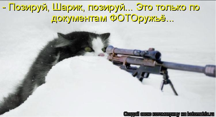 - Позируй, Шарик, позируй... Это только по документам ФОТОружьё...... Котоматрица: - Позируй, Шарик, позируй... Это только по документам ФОТОружьё...
