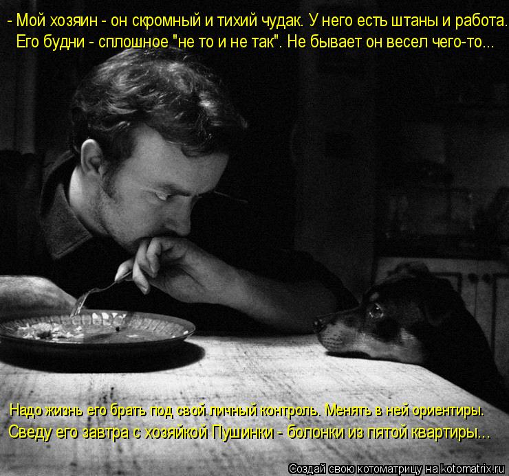 - Мой хозяин - он скромный и тихий чудак. У него есть штаны и работа. Его будни - сплошное "не то и н... Котоматрица: - Мой хозяин - он скромный и тихий чудак. У него есть штаны и работа. Его будни - сплошное "не то и не так". Не бывает он весел чего-то... Надо жизн