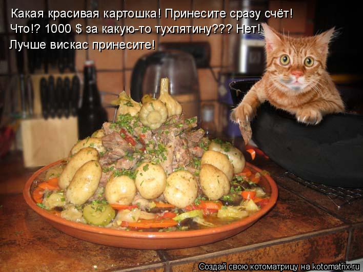 Какая красивая картошка! Принесите сразу счёт! Что!? 1000 $ за какую-то тухлятину??? Нет! Лучше виска... Котоматрица: Какая красивая картошка! Принесите сразу счёт! Что!? 1000 $ за какую-то тухлятину??? Нет! Лучше вискас принесите!