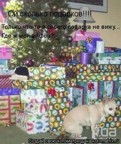 Ой сколько подарков!!!! Только что-то я своего подарка не вижу... Где ж мой айфон?... Котоматрица: Ой сколько подарков!!!! Только что-то я своего подарка не вижу... Где ж мой айфон?