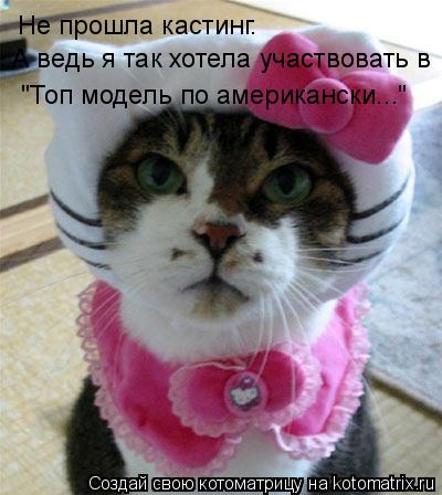 Не прошла кастинг. А ведь я так хотела участвовать в "Топ модель по американски..."... Котоматрица: Не прошла кастинг. А ведь я так хотела участвовать в "Топ модель по американски..."