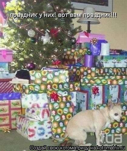 праздник у них! вот вам праздник!!!... Котоматрица: праздник у них! вот вам праздник!!!