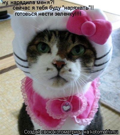 ну, нарядила меня?! сейчас я тебя буду "наряжать"!! готовься нести зеленку!!!!... Котоматрица: ну, нарядила меня?! сейчас я тебя буду "наряжать"!! готовься нести зеленку!!!!