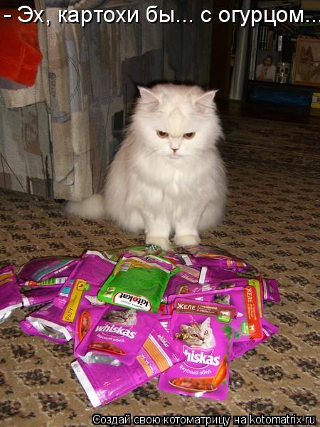 - Эх, картохи бы... с огурцом...... Котоматрица: - Эх, картохи бы... с огурцом...