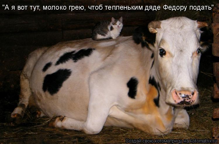 Котоматрица: "А я вот тут, молоко грею, чтоб тепленьким дяде Федору подать"