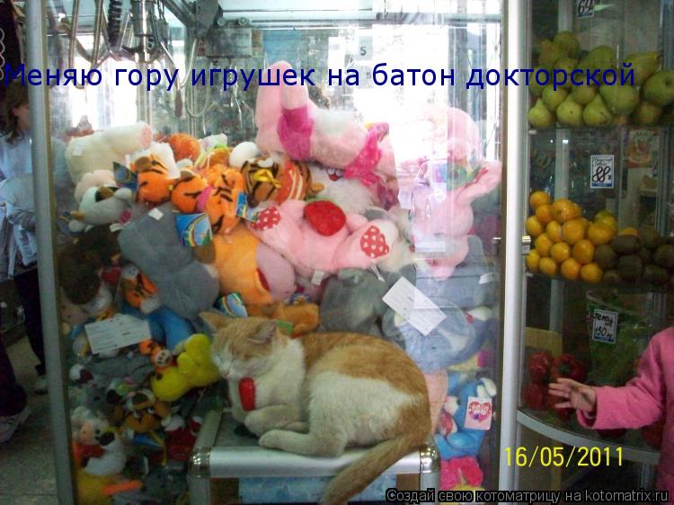 Меняю гору игрушек на батон докторской... Котоматрица: Меняю гору игрушек на батон докторской