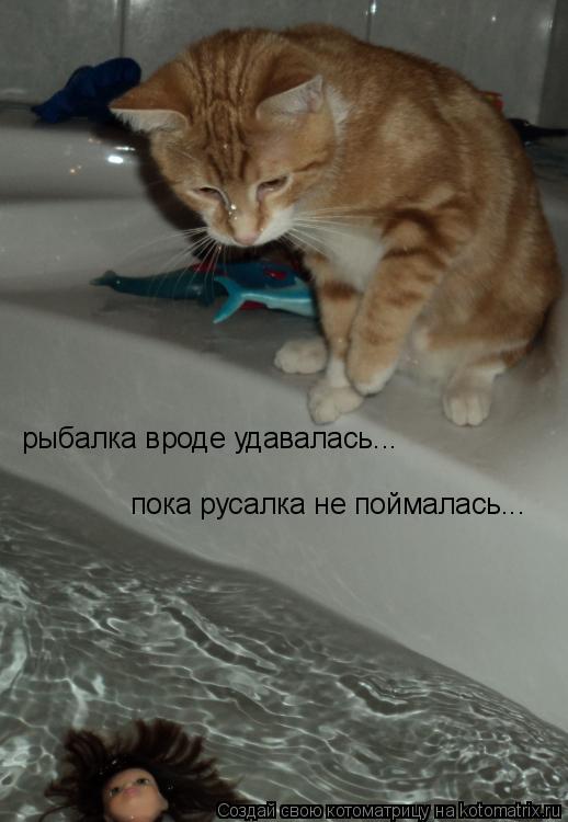 рыбалка вроде удавалась... пока русалка не поймалась...... Котоматрица: рыбалка вроде удавалась... пока русалка не поймалась...
