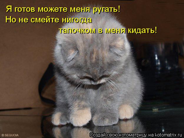 Я готов можете меня ругать! Но не смейте нигогда тапочком в меня кидать!... Котоматрица: Я готов можете меня ругать! Но не смейте нигогда тапочком в меня кидать!
