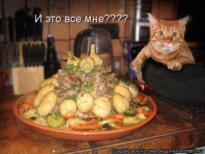 И это все мне????... Котоматрица: И это все мне????