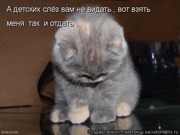 Котоматрица: А детских слёз вам не видать , вот взять меня  так  и отдать ...