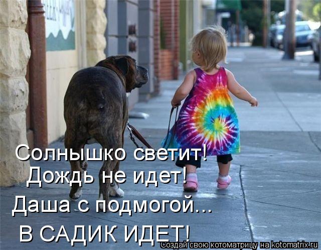 В САДИК ИДЕТ! Солнышко светит! Дождь не идет! Даша с подмогой...... Котоматрица: В САДИК ИДЕТ! Солнышко светит! Дождь не идет! Даша с подмогой...